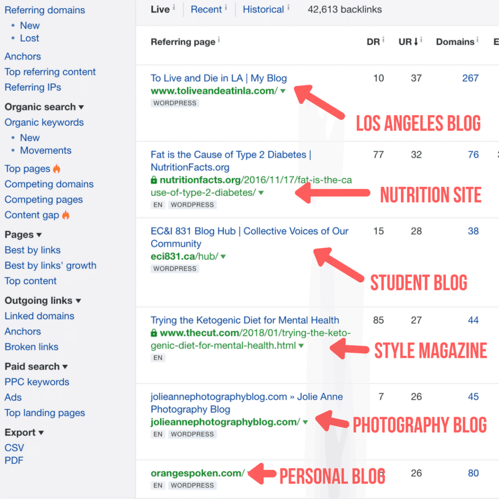 niche diversity link building