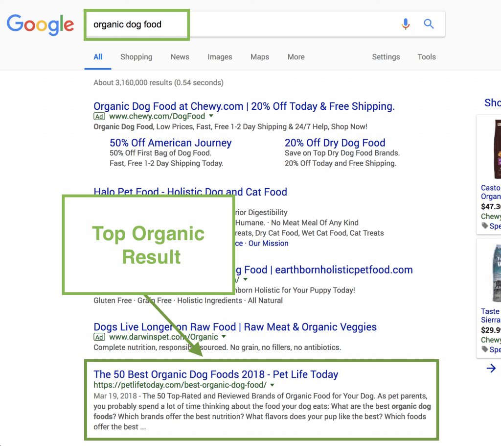 top google results