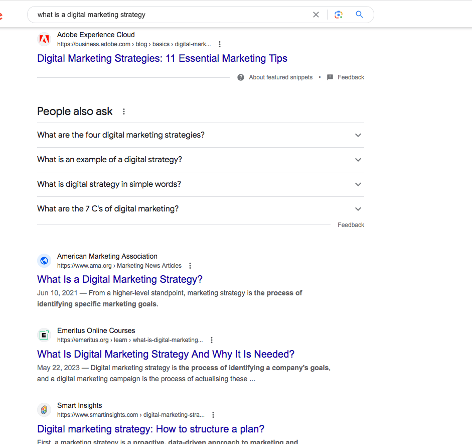 A screenshot of Google search results for the term 'what is a digital marketing strategy.' 