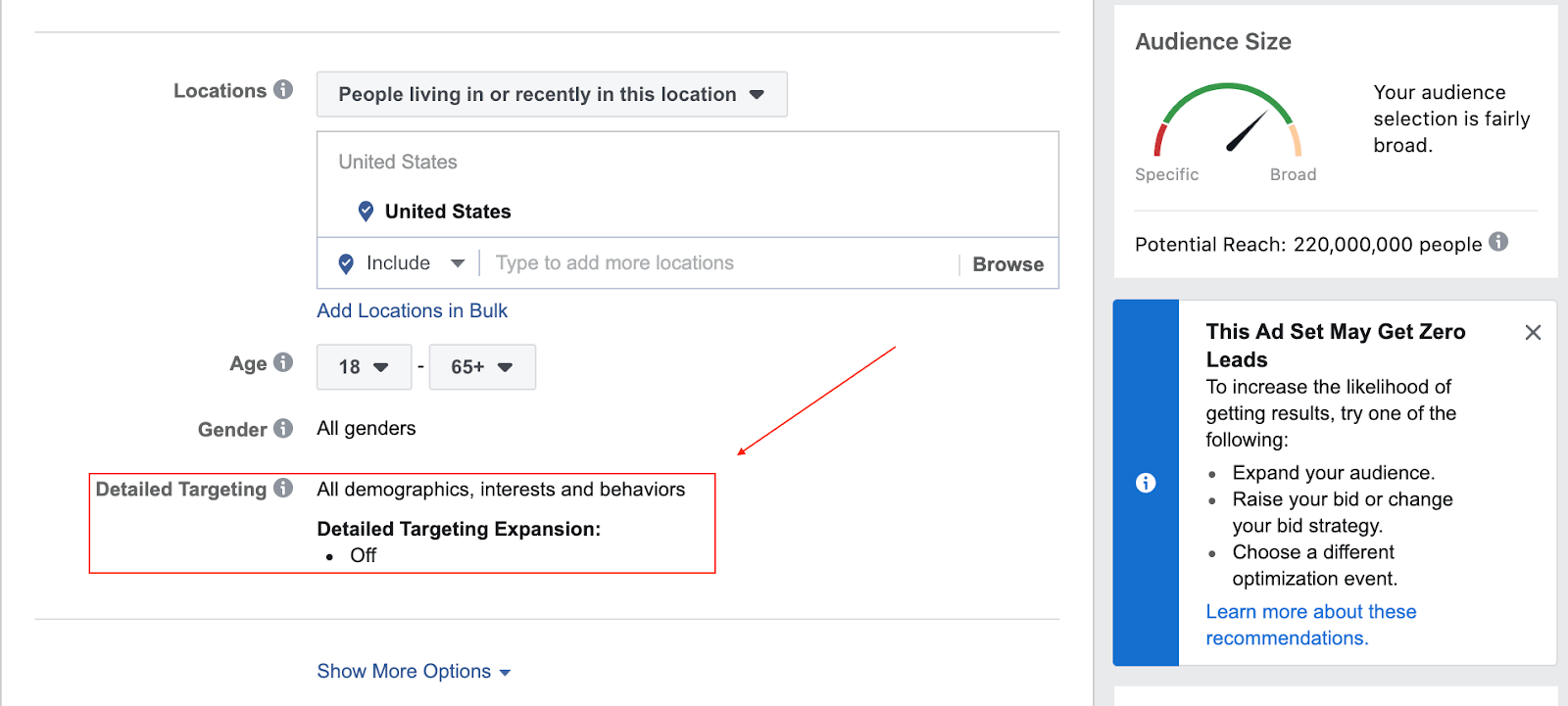 The basic demographic data within Facebook Ads Manager.