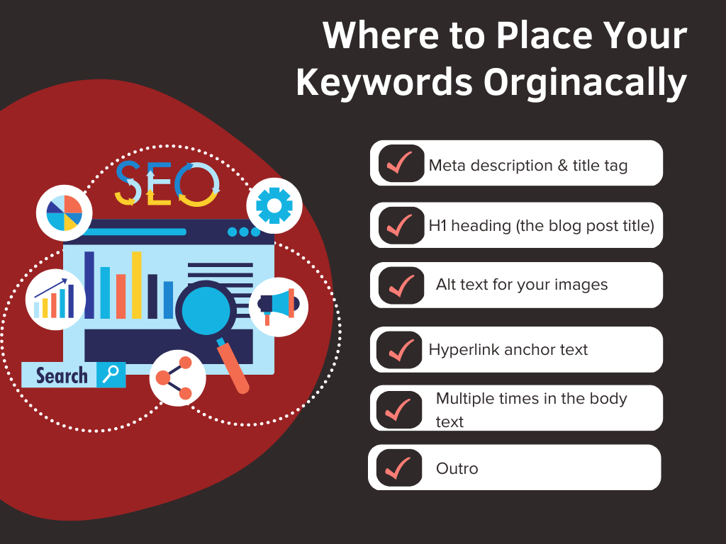 Infographic on where to place your keywords organically