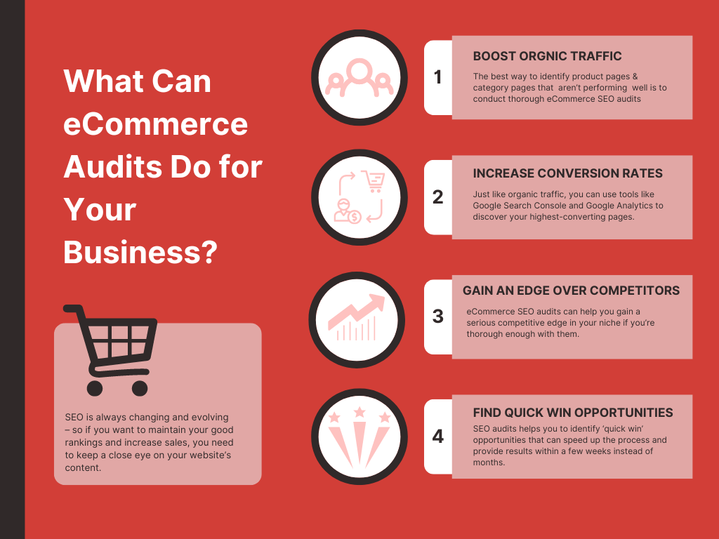 infographic on What Can eCommerce Audits Do for Your Business