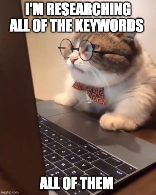 A cat is doing keyword research