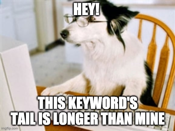 A meme of a  commenting on long-tail keywords. 